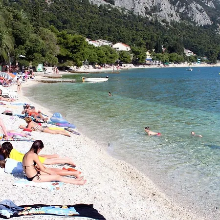 Apartment Studio Gradac 5198a